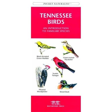 WATERFORD PRESS Waterford Press WFP1583551172 Tennessee Birds Book: An Introduction to Familiar Species (State Nature Guides) WFP1583551172